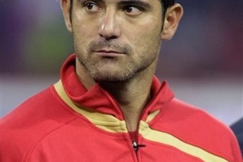 Soccer WCup Group D Serbia Stankovic