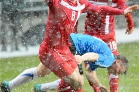 Estonia Serbia EUro 2012 Soccer