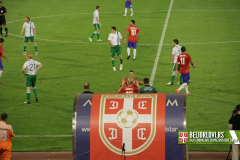 Srbija - Irska 2012