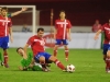 dejan-stankovic-severna-irska-2011-fudbal-2-1-reprezentacija-srbije_0