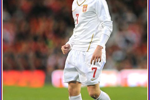 zoran-tosic-repka